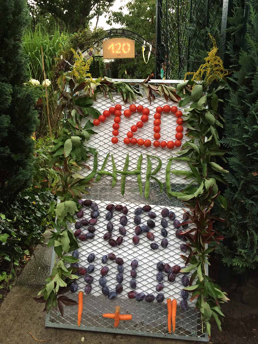 Kleingartenverein Bornholm II e.V.